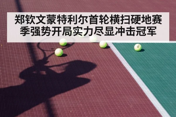 tennis player hard court