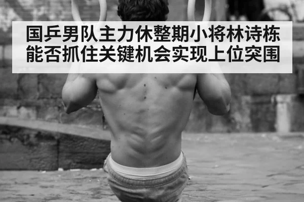 国乒男队主力休整期小将林诗栋能否抓住关键机会实现上位突围